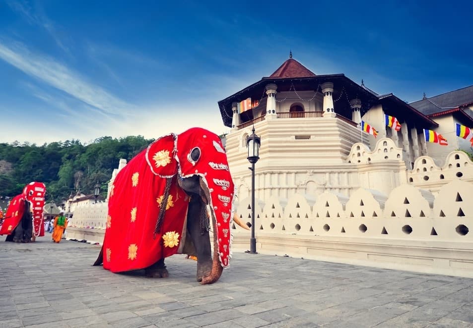 Kandy Highlight (5 Days / 4 Nights)