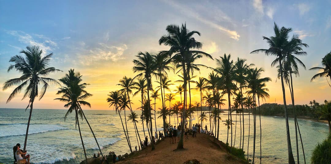 Two Days: Whale Watching & Udawalawe Safari